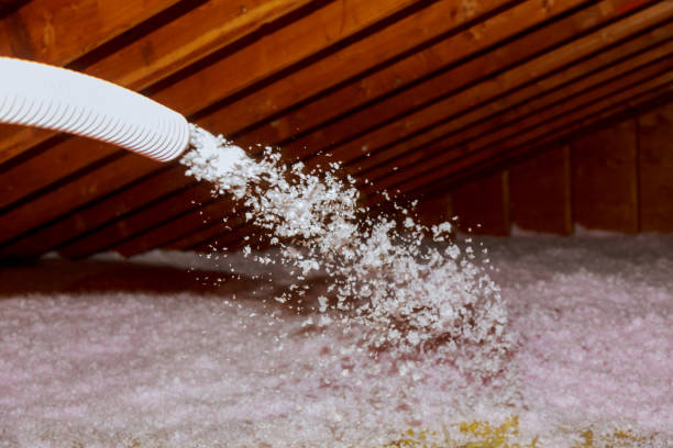 Best Spray Foam Insulation  in The Village Of Indian Hill, OH