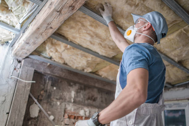 Best Insulation Replacement Services  in The Village Of Indian Hill, OH