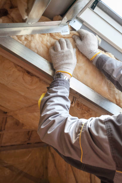 Best Insulation Contractors for Homes  in The Village Of Indian Hill, OH