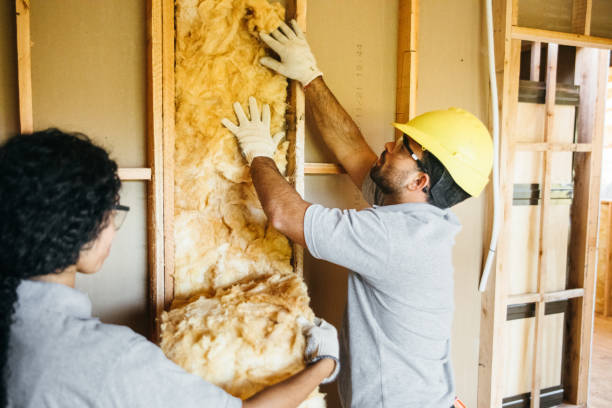 Best Blown-in Insulation  in The Village Of Indian Hill, OH