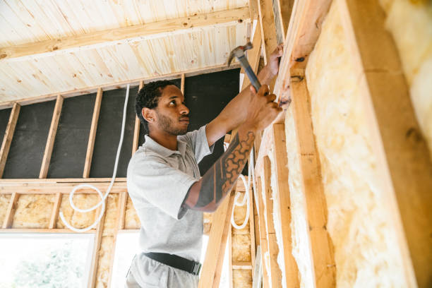 Best Attic Insulation Installation  in The Village Of Indian Hill, OH