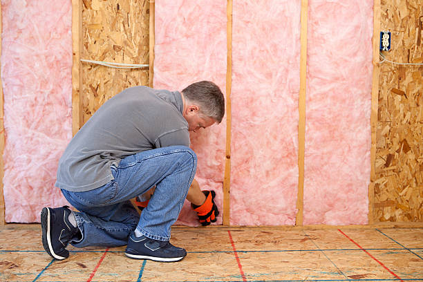 Best Insulation Repair Services  in The Village Of Indian Hill, OH