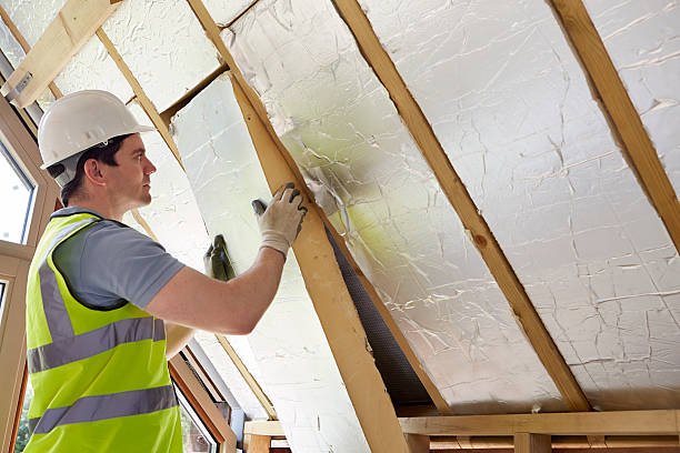 Best Professional Insulation Contractor  in The Village Of Indian Hill, OH